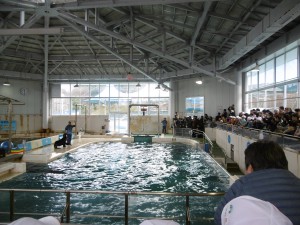 P1100319