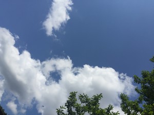 IMG_3272