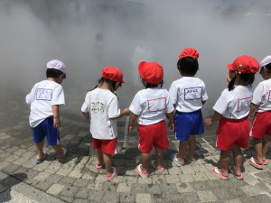 IMG_7589
