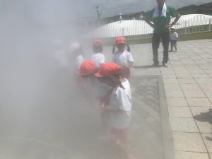 IMG_7590