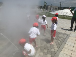 IMG_7591