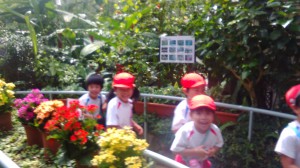 KIMG0558