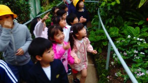 KIMG0626